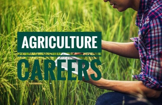 Picture of Agriculture Career Fair